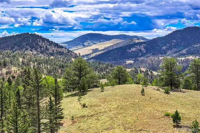 75 Deer Run Guffey, CO 80820
