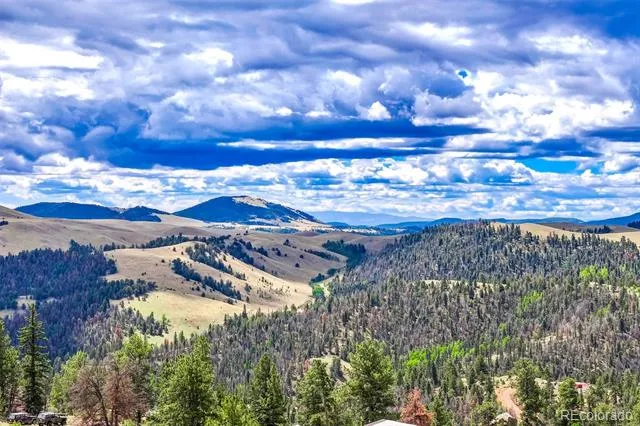 75 Deer Run Guffey, CO 80820