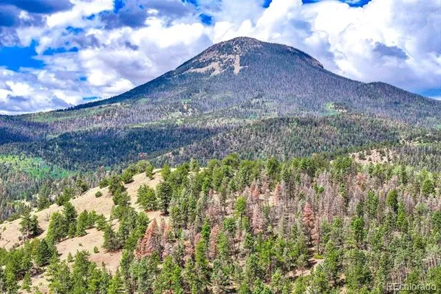 75 Deer Run Guffey, CO 80820