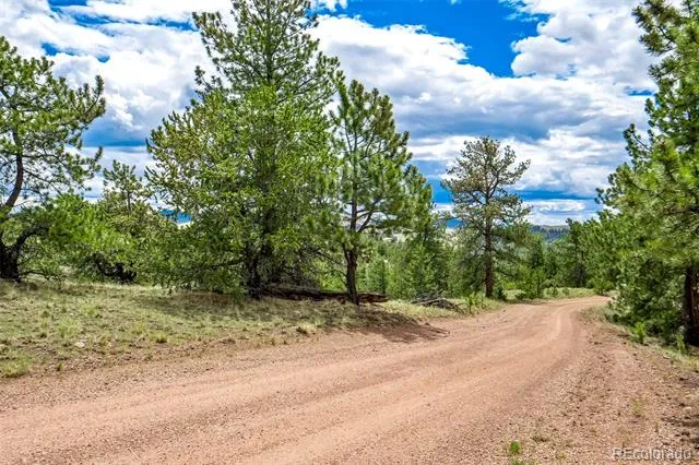 75 Deer Run Guffey, CO 80820