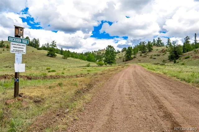 75 Deer Run Guffey, CO 80820
