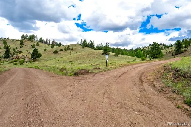 75 Deer Run Guffey, CO 80820