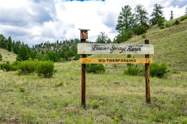 75 Deer Run Guffey, CO 80820