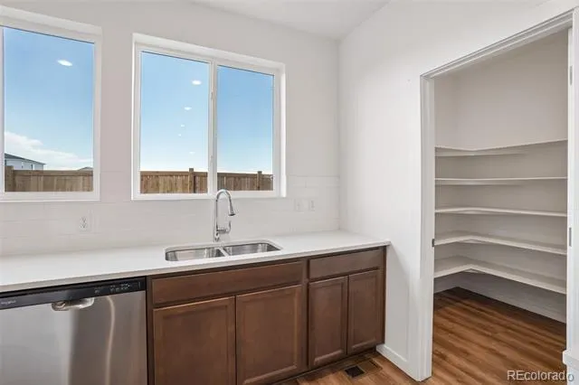 1460 Boyle Street Windsor, CO 80550