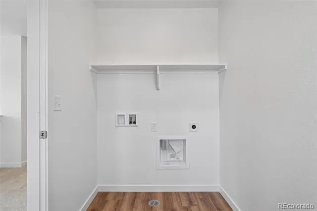 1460 Boyle Street Windsor, CO 80550