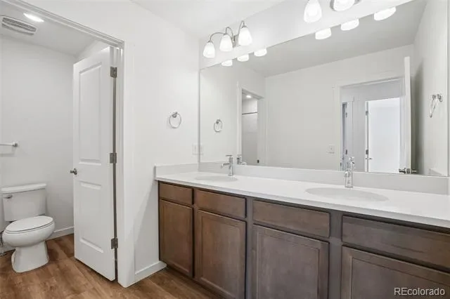 1460 Boyle Street Windsor, CO 80550