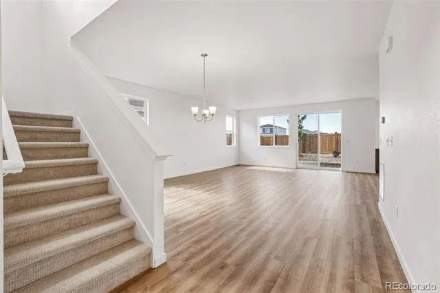 1460 Boyle Street Windsor, CO 80550