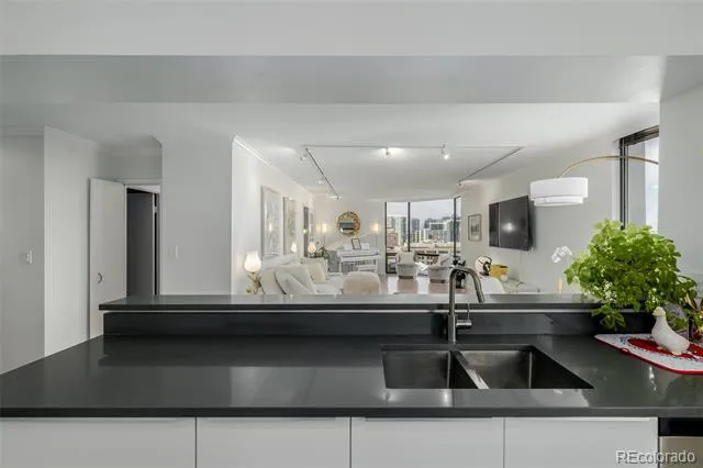 1625 Larimer Street #1207 Denver, CO 80202