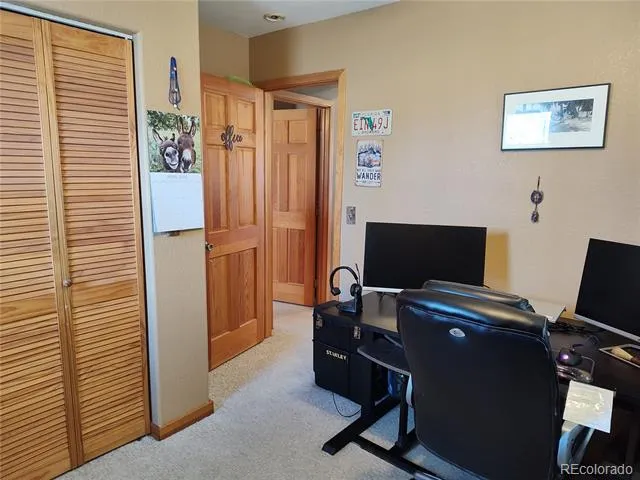 612 Sheep Ridge Road Fairplay, CO 80440