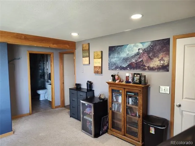 612 Sheep Ridge Road Fairplay, CO 80440