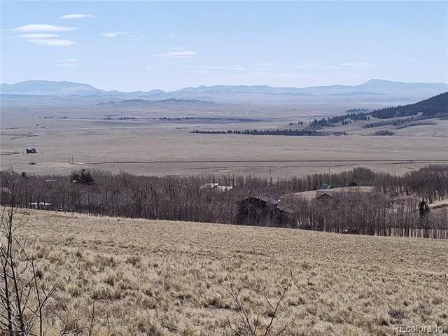 612 Sheep Ridge Road Fairplay, CO 80440
