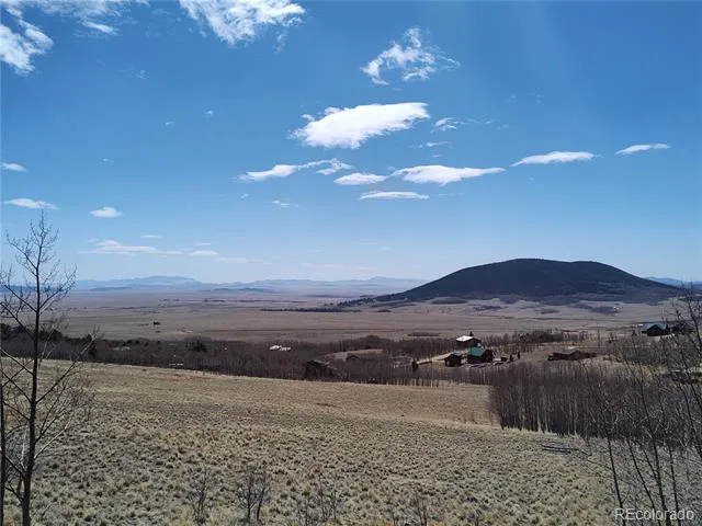 612 Sheep Ridge Road Fairplay, CO 80440