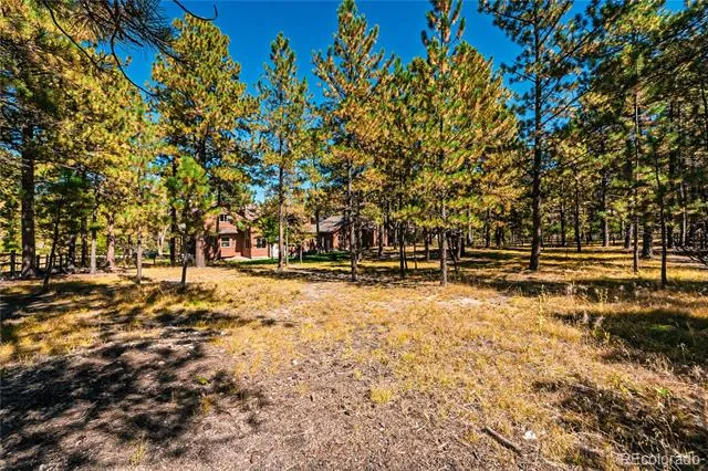 1210 Kenosha Drive Larkspur, CO 80118