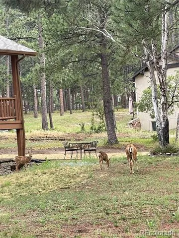 1210 Kenosha Drive Larkspur, CO 80118