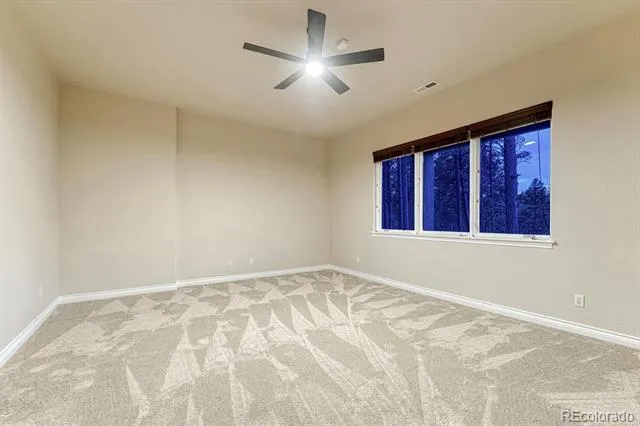 16152 Timber Meadow Drive Colorado Springs, CO 80908