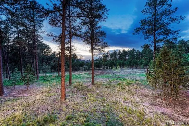 16152 Timber Meadow Drive Colorado Springs, CO 80908