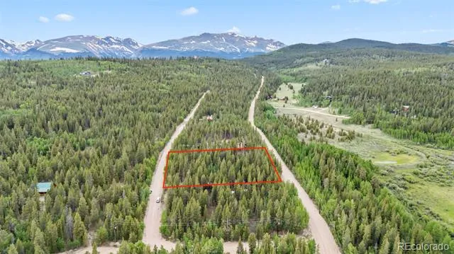64 Ski Doo Road Fairplay, CO 80440
