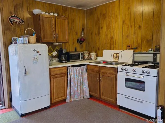 64 Ski Doo Road Fairplay, CO 80440