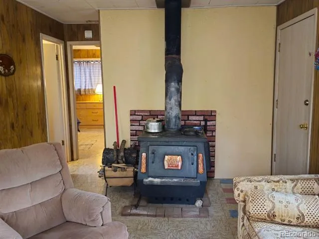 64 Ski Doo Road Fairplay, CO 80440