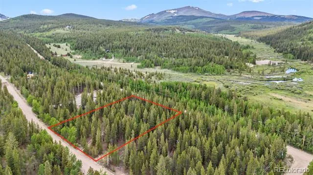 64 Ski Doo Road Fairplay, CO 80440