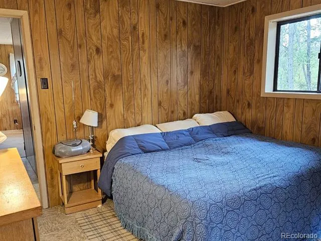 64 Ski Doo Road Fairplay, CO 80440