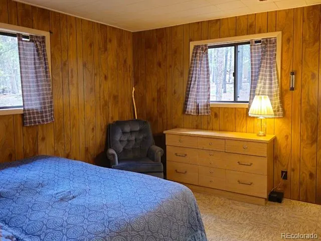 64 Ski Doo Road Fairplay, CO 80440