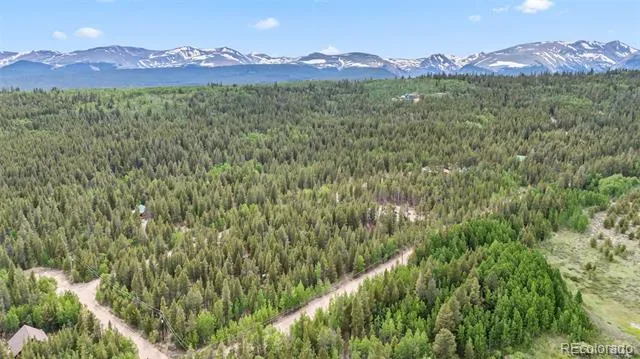 64 Ski Doo Road Fairplay, CO 80440