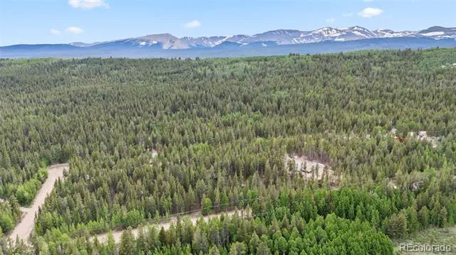 64 Ski Doo Road Fairplay, CO 80440