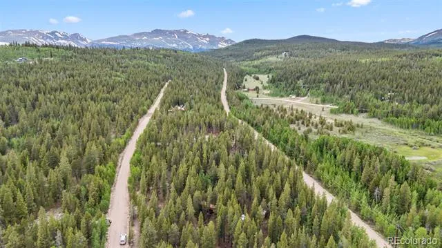 64 Ski Doo Road Fairplay, CO 80440