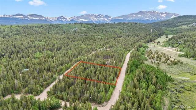 64 Ski Doo Road Fairplay, CO 80440