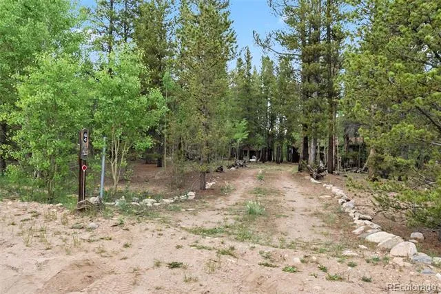64 Ski Doo Road Fairplay, CO 80440