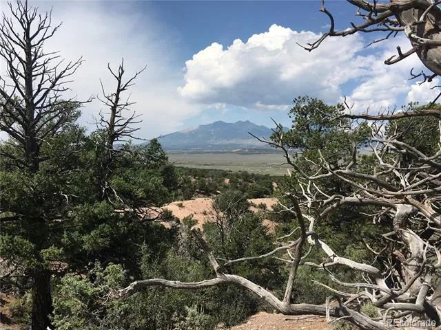 123 Scheffellin Fort Garland, CO 81133
