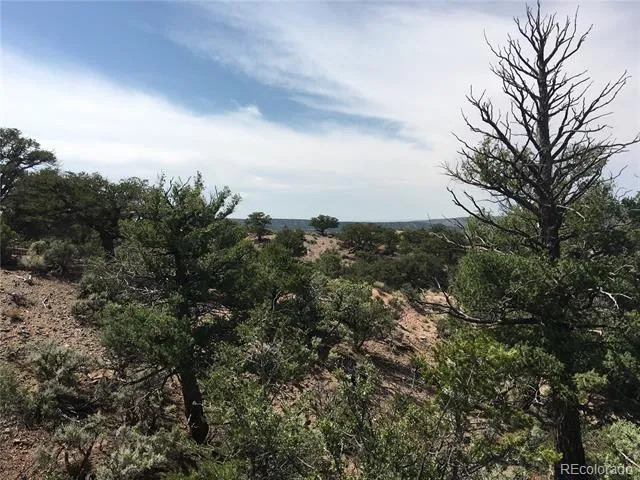 123 Scheffellin Fort Garland, CO 81133