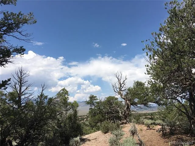 123 Scheffellin Fort Garland, CO 81133