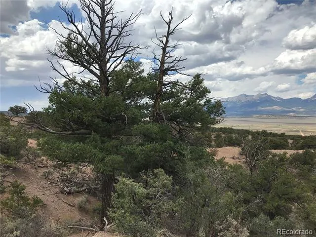 123 Scheffellin Fort Garland, CO 81133