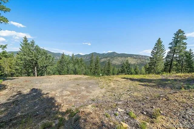 33844 Bergen View Trail Evergreen, CO 80439