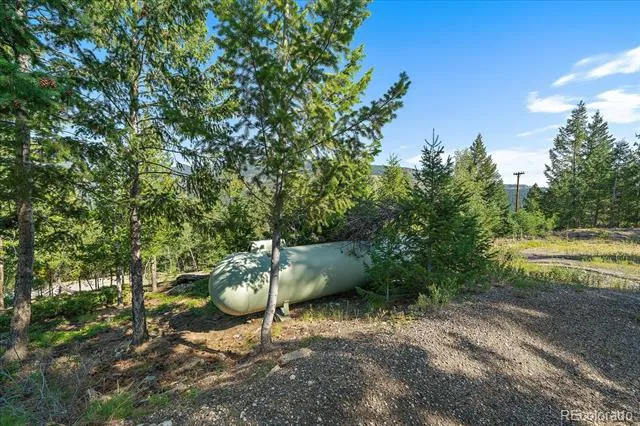 33844 Bergen View Trail Evergreen, CO 80439