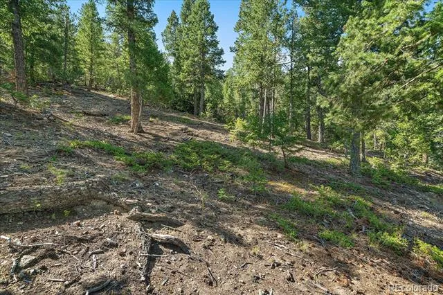 33844 Bergen View Trail Evergreen, CO 80439