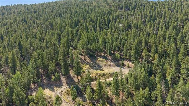 33844 Bergen View Trail Evergreen, CO 80439