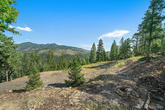 33844 Bergen View Trail Evergreen, CO 80439