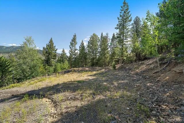 33844 Bergen View Trail Evergreen, CO 80439