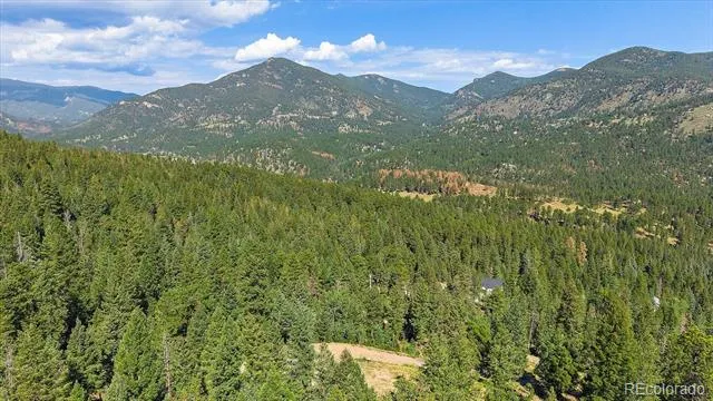 33844 Bergen View Trail Evergreen, CO 80439