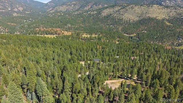 33844 Bergen View Trail Evergreen, CO 80439