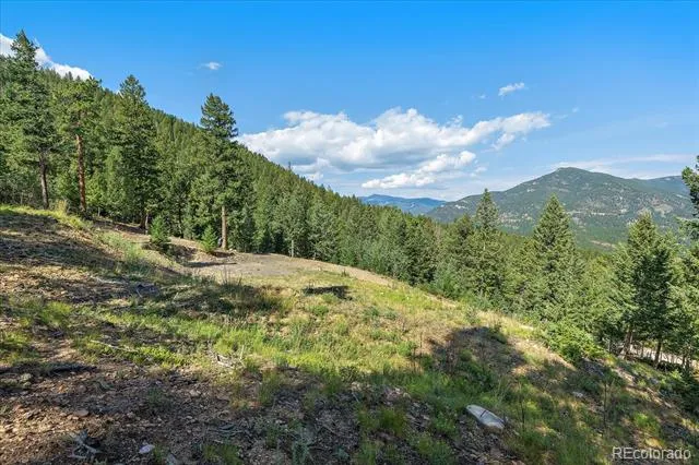 33844 Bergen View Trail Evergreen, CO 80439