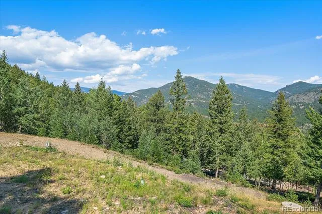 33844 Bergen View Trail Evergreen, CO 80439