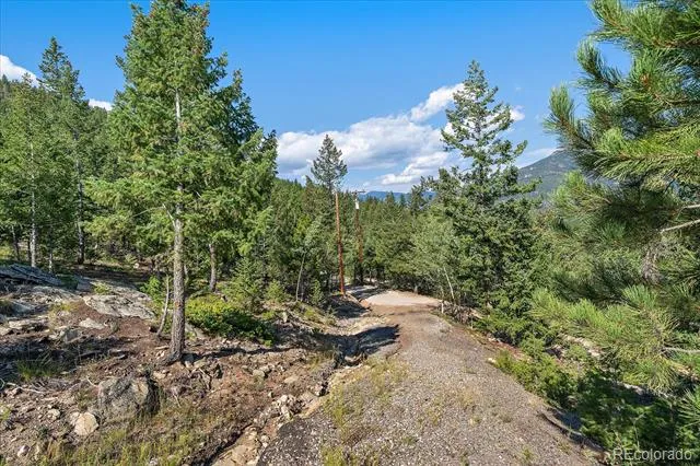 33844 Bergen View Trail Evergreen, CO 80439