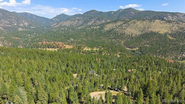 33844 Bergen View Trail Evergreen, CO 80439