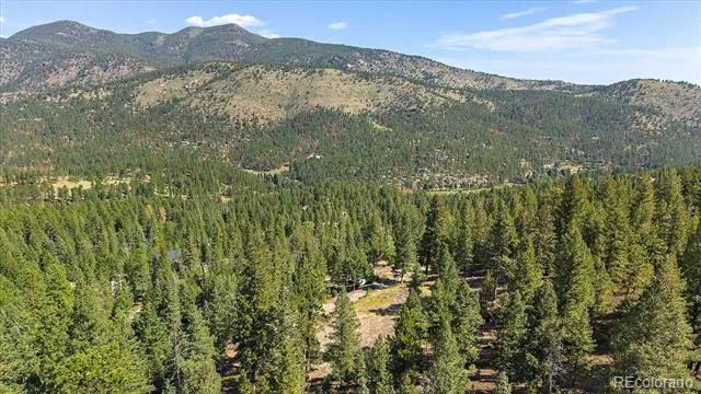 33844 Bergen View Trail Evergreen, CO 80439