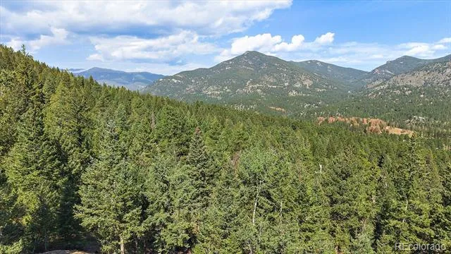 33844 Bergen View Trail Evergreen, CO 80439