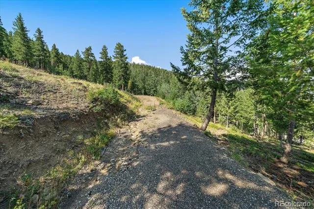 33844 Bergen View Trail Evergreen, CO 80439